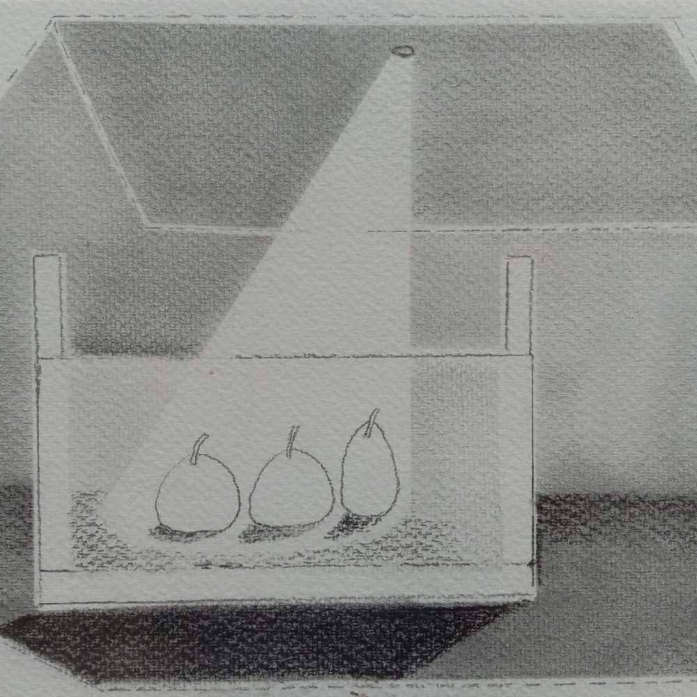 SURAJIT BISWAS HOME IV GRAPHITE AND INK ON PAPER 8x 12 IN 2014-2015
