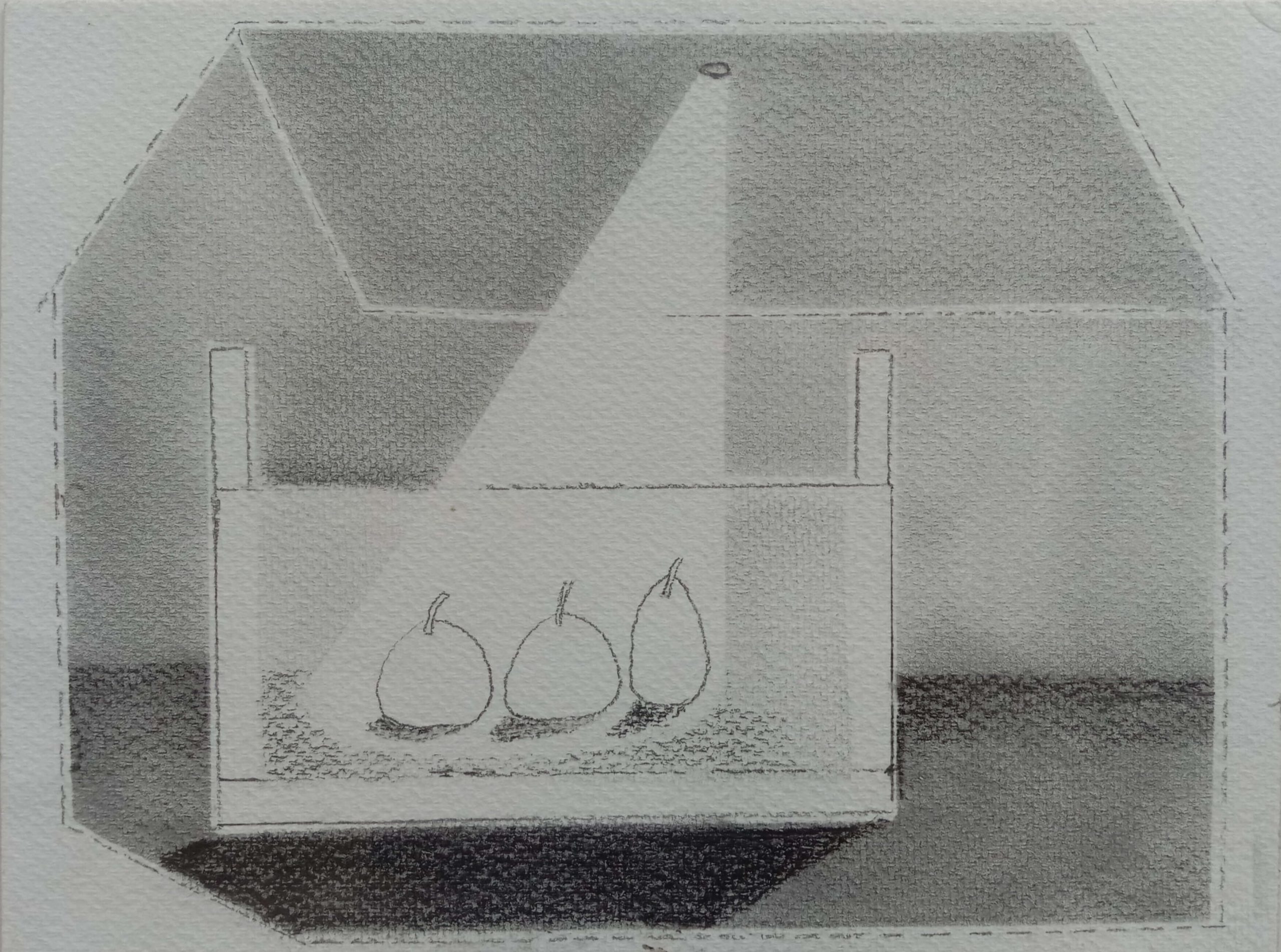 SURAJIT BISWAS HOME IV GRAPHITE AND INK ON PAPER 8x 12 IN 2014-2015