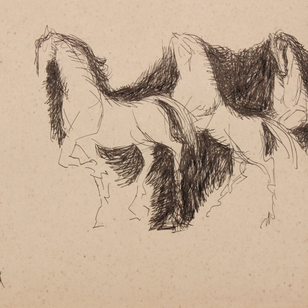 NIKHIL BISWAS HORSES PEN & INK 6 IN X 10 IN 1961